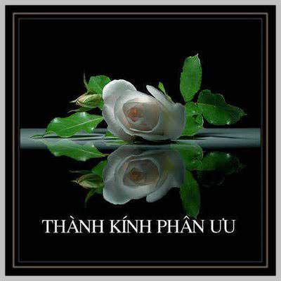 Thanh Kinh Phan Uu