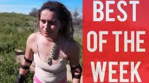 Find professional cat walking videos and stock footage available for license in film, television, advertising and corporate uses. Biker Falls Into Cactus Bush And Other Funny Videos Best Fails Of The Week October 2019 Youtube