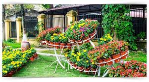 İş yeri açılış ruhsatını alabilmek için. Peyzaj Projesi Uygulama Kursu Meb Onayli