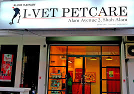 Türkiye'de veteriner sağlık hizmetleri veren veteriner klinikleri, veteriner poliklinikleri, hayvan hastaneleri, nöbetçi veterinerler. Qmed Vet Find A Veterinarian Easily And Book An Online Appointment