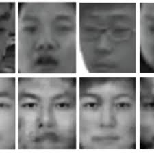 Input (a), structure-from-motion (b), space carving (c), and...