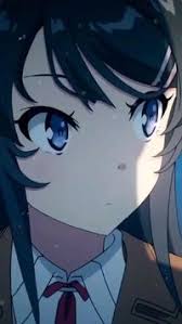 Gustavo Jauregui (gustavojauregui)