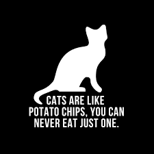 Alternatives to potatoes for cats. Cats Are Like Potato Chips Ryan Davison