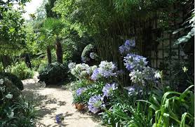 Les Jardins Agapanthe Tuin Inspiratie Tuin Fotoboeken