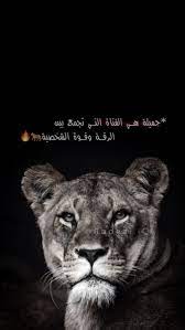 pin by ب ـنين ع ب ـدٱﻟ פسين on بنين in 2021 cool girl pictures cute girl photo funny cat wallpaper