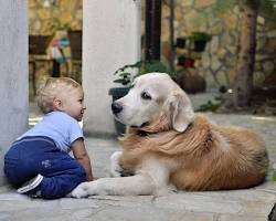 Image of child learning to recognize a dog
