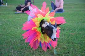 Maybe you would like to learn more about one of these? The 10 Best Things To Do Near San Tan Flat Queen Creek Tripadvisor