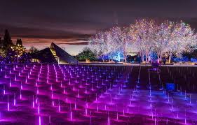 The gardens' signature event for over three decades, this annual holiday lights extravaganza transforms our york street location into a twinkling parking in the surrounding neighborhood may be restricted on some streets; Tickets Are On Sale For Blossoms Denver Botanic Gardens Facebook
