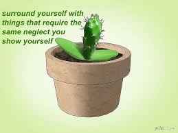 See, rate and share the best cactus memes, gifs and funny pics. Cacti Memes Cactimemes Facebook