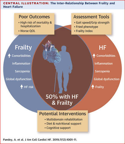Frailty Is Intertwined With Heart Failure: Mechanisms, Prevalence,  Prognosis, Assessment, and Management | JACC: Heart Failure