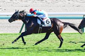 News source: Yahoo!ニュース