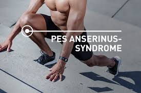 Apply an appropriate amount of your body weight on top of the foam roller. Medial Knee Pain Exercises For Pes Anserinus Syndrome