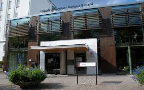 Gotlands studentkår rindi är kåren för studenter vid campus gotland. Svart Att Fa Studentbostad I Visby Hem Hyra