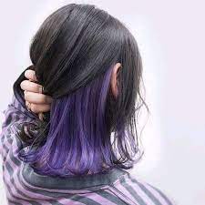 Pin By Fooby On ˏˋbeauty ˎ Under Hair Color Hair Color Underneath Hidden Hair Color