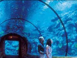 Shark Reef Aquarium At Mandalay Bay Tickets At Bestofvegas Com Mandalay Bay Hotel Vegas Vacation Mandalay Bay