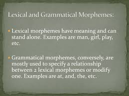 Dog, good, honest, boy, girl, woman, excellent, etc. Ppt Language And Its Components Powerpoint Presentation Free Download Id 1654893