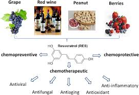 Frontiers A Review Of Resveratrol As A Potent