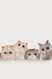 Maybe you would like to learn more about one of these? Free Cat Tumblr Wallpaper Cat Tumblr Wallpaper Download Wallpaperuse 1