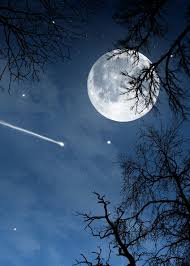 We did not find results for: Romantic Scenes Are You Love The Beautiful Moon Here Is Facebook
