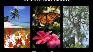 The winner was jim reisert, who was first to send in all 10 correct answers. Science And Nature Trivia Quiz Hubpages