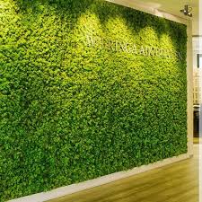 Raumbegrunung Mit Mooswand In 2020 Mooswand Pflanzenwand Ummauerter Garten