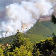 Επτά οικισμοί έχουν εκκενωθεί στα βίλια, όπου αναμένεται δύσκολη νύχτα λόγω της μεγάλης πυρκαγιάς που μαίνεται από το απόγευμα και έχει καταστρέψει μεγάλες εκτάσεις δάσους. Apkzzgkf3cbokm