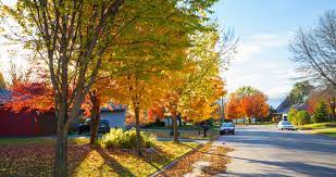 20 Best Things To Do In Saint Cloud Minnesota