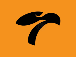 Image result for tbn:0UreIrM_jPIxpM::www.decorazonsinigual.com.ar/imagenes/logo%2520pirata1.jpg