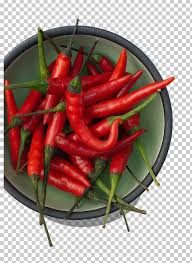 The species is native to central america. Chili Pepper Facing Heaven Pepper Thai Cuisine Vegetable Ingredient Png Clipart Birds Eye Chili Cayenne Pepper