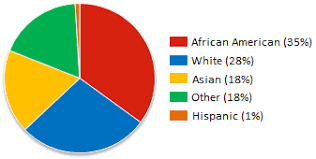 file ethnic groups of muslim americans png wikimedia commons