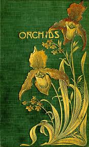 Check spelling or type a new query. Orchids Their Culture And Management Book Art Book Cover Art Vintage Book Covers