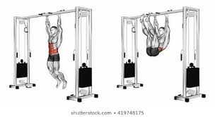 Makatserchyk Adli Katilimcinin Stok Fotograf Ve Gorsel Portfoyu Shutterstock 2020 Karin Calistirma Karin Kasi Egzersiz Erkekler Duzenleme