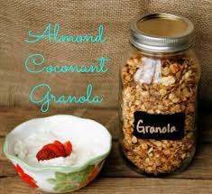 Almond Coconut Granola Hollis Homestead Recipe Honey Granola Recipe Coconut Granola Granola Recipe Homemade
