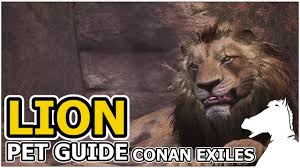 Lion Pets Guide Conan Exiles Youtube Graphique/ornemental/floral/mandalas uniquement sur rdv contact en mp ou mail. lion pets guide conan exiles