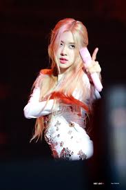 190615 Rose In Your Area Tour In Sydney First Love Do Not Edit Blackpink Photos Blackpink Rose Blackpink