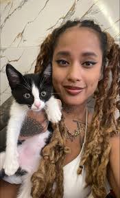 Hi I need a carer, adopter for this very young kitten, only just learnt to  walk, that I found outside Jardin majorelle, Marrakech. Completely alone,  no trace of mother or litter mates.