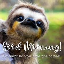 Maybe you would like to learn more about one of these? Cute Morning Sloth Meme Image Bramble Avenue