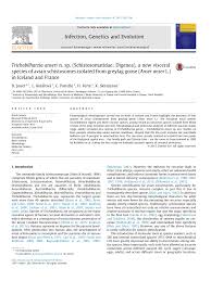 Pdf Trichobilharzia Anseri N Sp Schistosomatidae Digenea A New Visceral Species Of Avian Schistosomes Isolated From Greylag Goose Anser Anser L In Iceland And France