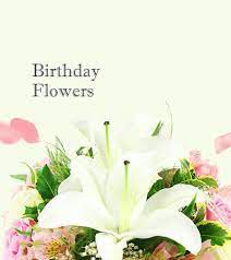 We did not find results for: Flowers Chinatown W1 Same Day Flower Delivery