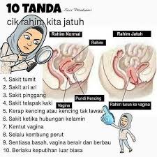 Dokumen, saya ingin bertanya sama ada ubat nes v yang dijual di pasaran betul untuk mencegah kanser serviks dan kanser payudara? 14 Tanda Rahim Kembang 1 Jamu Puteri Jelita Kedah Facebook