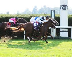 Breeders Cup Juvenile Turf Current Opry Give Pletcher Two