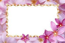 Love Frame Collection 10 1 Jpg 1600 1067 Flower Frame Love Frames Free Photo Frames