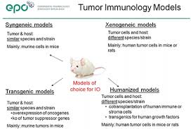 To profile drugs, toxicology and efficacy studies are primarily performed in animal models for research. Webinar Review Patient Derived Xenografts On Humanized Mice Taconic Biosciences