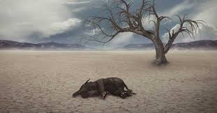Extinction (countable and uncountable, plural extinctions). The Sixth Mass Extinction May Exterminate Mammals In The Next 50 Years