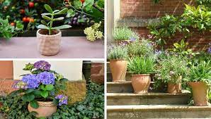 Concrete bowl concrete art concrete garden concrete design concrete planters cement art painting concrete concrete crafts concrete projects. Rund Um Die Pflanzgefasse Im Garten
