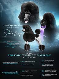 Image result for Pearsonia