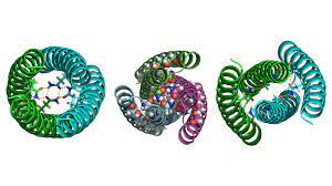 Fighting Disease With Proteins Not Found In Nature