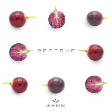 Reserve Jeunesse Global Reserva ja, caldas novas, goias, brazil. reserve jeunesse global