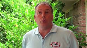 Stevie redback pest & termite control. Home Stevie Redback