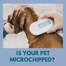 His special interests is internal medicine and parasitology. All Care Animal Clinic Posts Facebook